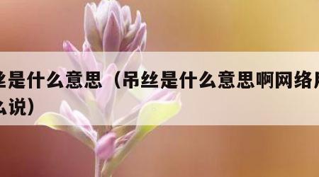 屌丝是什么意思（吊丝是什么意思啊网络用语怎么说）