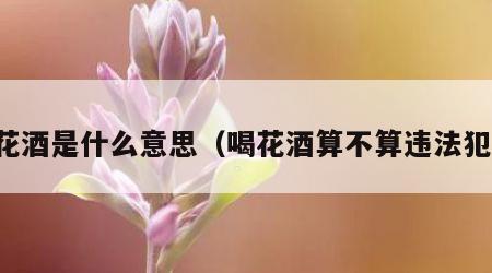 喝花酒是什么意思（喝花酒算不算违法犯罪）