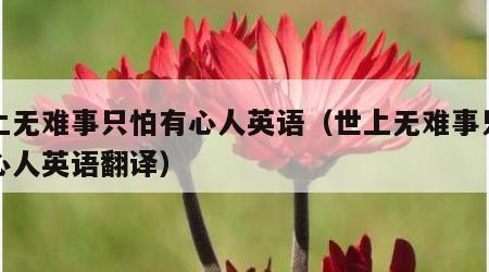 世上无难事只怕有心人英语（世上无难事只怕有心人英语翻译）