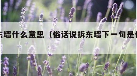 拆东墙什么意思（俗话说拆东墙下一句是什么）