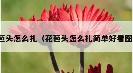 花苞头怎么扎（花苞头怎么扎简单好看图解）