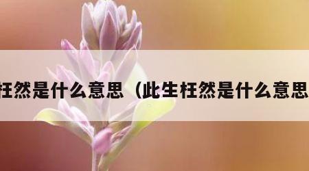 枉然是什么意思（此生枉然是什么意思）