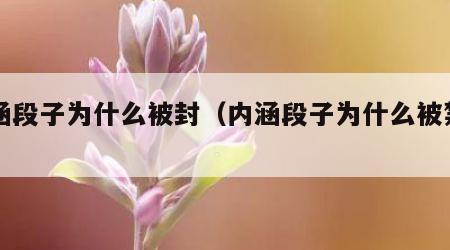 内涵段子为什么被封（内涵段子为什么被禁止了）