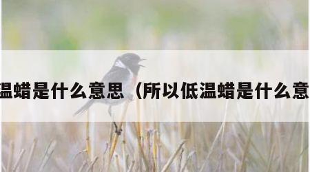 低温蜡是什么意思（所以低温蜡是什么意思）