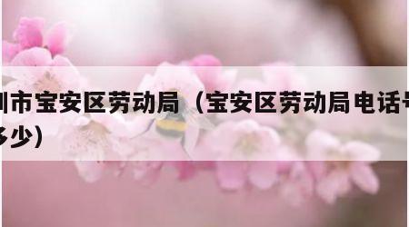 深圳市宝安区劳动局（宝安区劳动局电话号码是多少）