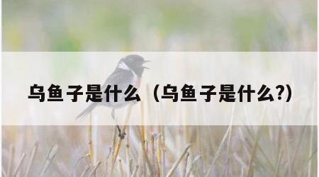 乌鱼子是什么（乌鱼子是什么?）