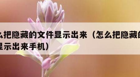 怎么把隐藏的文件显示出来（怎么把隐藏的文件显示出来手机）