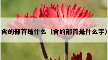 含的部首是什么（含的部首是什么字）