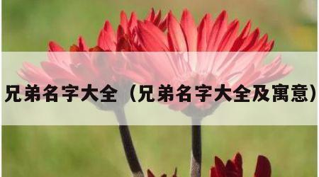 兄弟名字大全（兄弟名字大全及寓意）