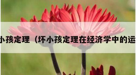 坏小孩定理（坏小孩定理在经济学中的运用）