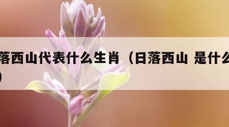 日落西山代表什么生肖（日落西山 是什么生肖）