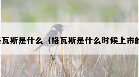 格瓦斯是什么（格瓦斯是什么时候上市的）