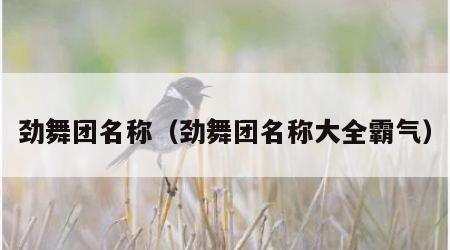 劲舞团名称（劲舞团名称大全霸气）