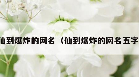 仙到爆炸的网名（仙到爆炸的网名五字）