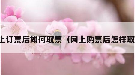 网上订票后如何取票（网上购票后怎样取票）