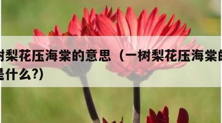 一树梨花压海棠的意思（一树梨花压海棠的意思是什么?）