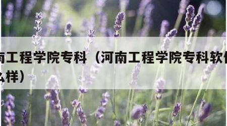 河南工程学院专科（河南工程学院专科软件类怎么样）