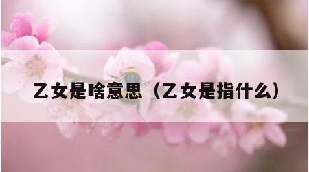 乙女是啥意思（乙女是指什么）