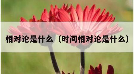 相对论是什么（时间相对论是什么）