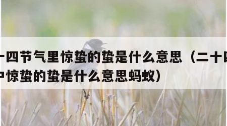 二十四节气里惊蛰的蛰是什么意思（二十四节气中惊蛰的蛰是什么意思蚂蚁）