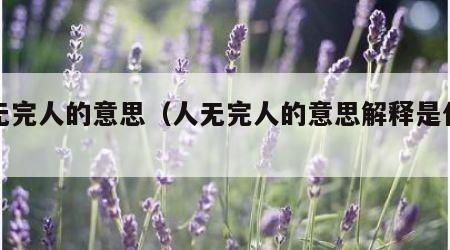 人无完人的意思（人无完人的意思解释是什么呢）