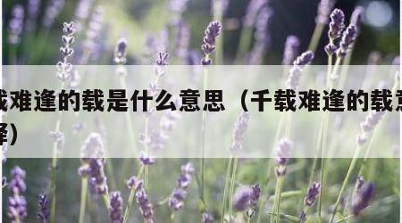 千载难逢的载是什么意思（千载难逢的载意思解释）