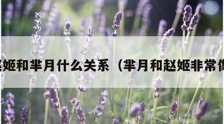 赵姬和芈月什么关系（芈月和赵姬非常像）