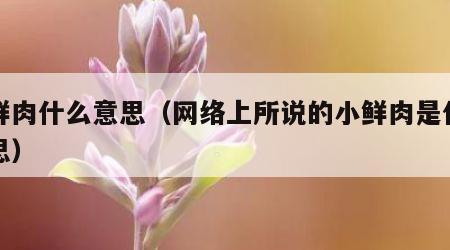 小鲜肉什么意思（网络上所说的小鲜肉是什么意思）