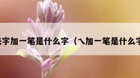 夫字加一笔是什么字（乀加一笔是什么字）