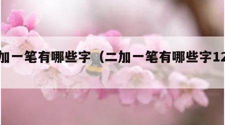 二加一笔有哪些字（二加一笔有哪些字12个）