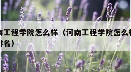 河南工程学院怎么样（河南工程学院怎么样全国排名）