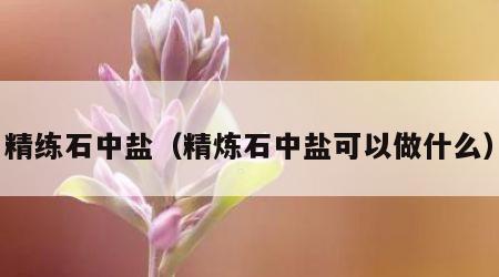 精练石中盐（精炼石中盐可以做什么）