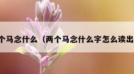 两个马念什么（两个马念什么字怎么读出来）