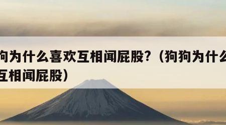 狗狗为什么喜欢互相闻屁股?（狗狗为什么喜欢互相闻屁股）