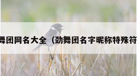 劲舞团网名大全（劲舞团名字昵称特殊符号）