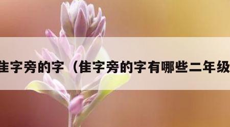 隹字旁的字（隹字旁的字有哪些二年级）