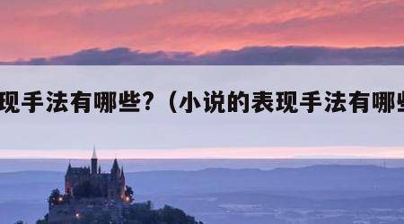 表现手法有哪些?（小说的表现手法有哪些?）