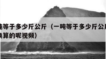 一吨等于多少斤公斤（一吨等于多少斤公斤怎么换算的呢视频）