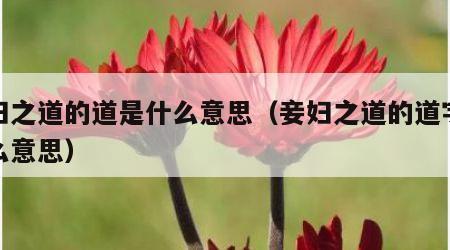 妾妇之道的道是什么意思（妾妇之道的道字是什么意思）