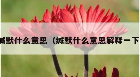 缄默什么意思（缄默什么意思解释一下）