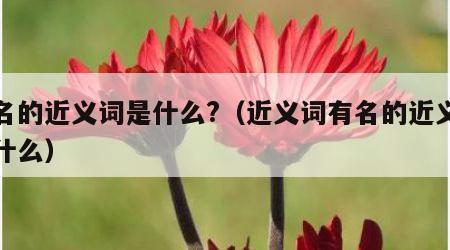 有名的近义词是什么?（近义词有名的近义词是什么）