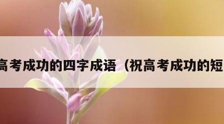 祝高考成功的四字成语（祝高考成功的短语）