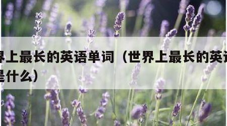 世界上最长的英语单词（世界上最长的英语单词是什么）