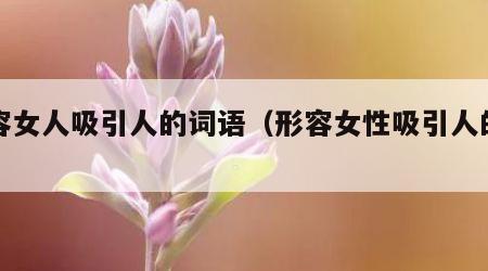 形容女人吸引人的词语（形容女性吸引人的词）