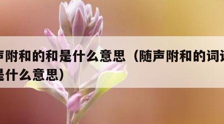 随声附和的和是什么意思（随声附和的词语解释是什么意思）