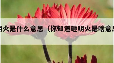 砸明火是什么意思（你知道砸明火是啥意思么）