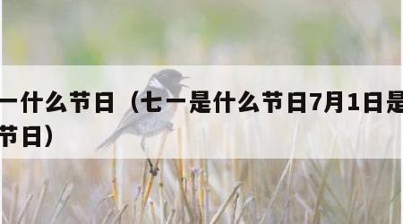 七一什么节日（七一是什么节日7月1日是什么节日）