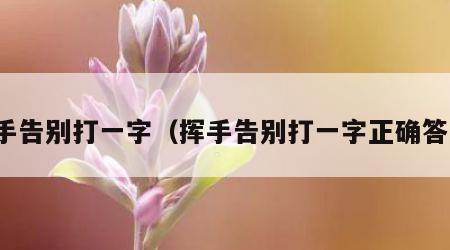 挥手告别打一字（挥手告别打一字正确答案）