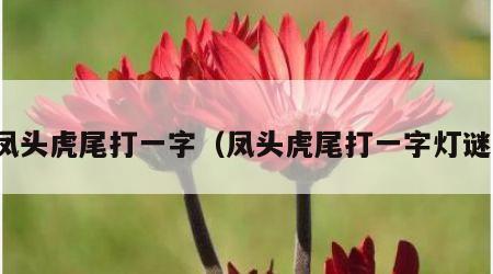 凤头虎尾打一字（凤头虎尾打一字灯谜）