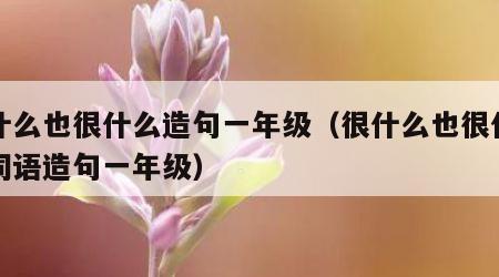 很什么也很什么造句一年级（很什么也很什么的词语造句一年级）